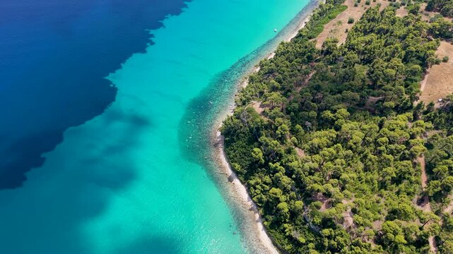 Aerial view of turquoise sea and green coastal forest