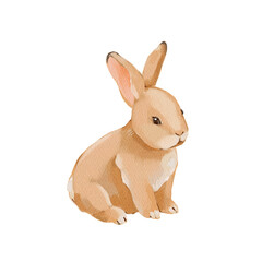 Watercolor brown rabbit isolated clipart. Hand painted cute woodland bunny illustration for nursery decor, children's products, fabric, stationery and spring designs.
