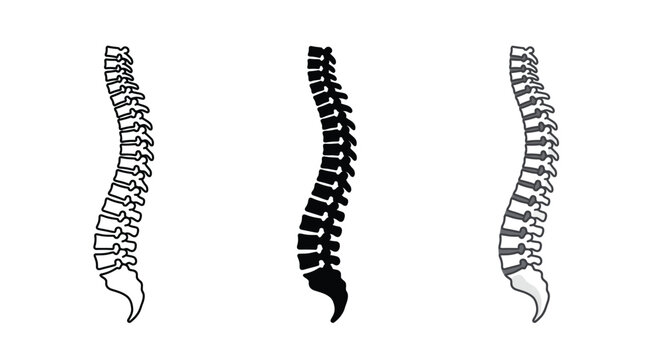 Three different human spine bone medical icons set Vector
