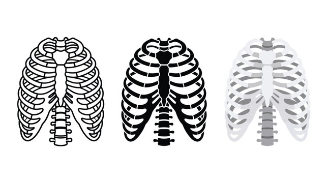 Set of human rib cage icons showing anatomical structure of chest bones Vector