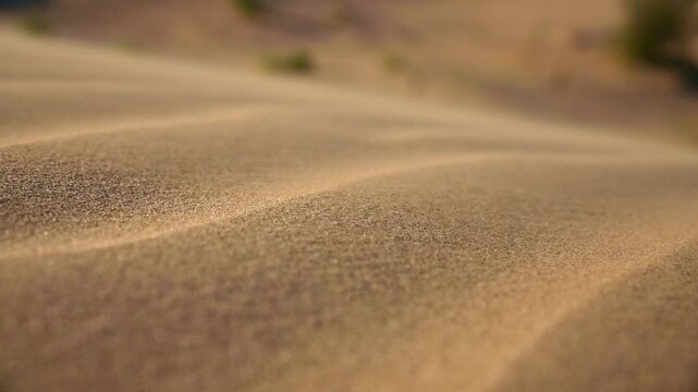 Sand dunes shift gently under sunlight, showcasing fine textures and patterns