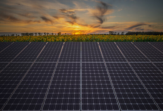 Solar panels against a backdrop of blooming sunflowers.3D rendering.