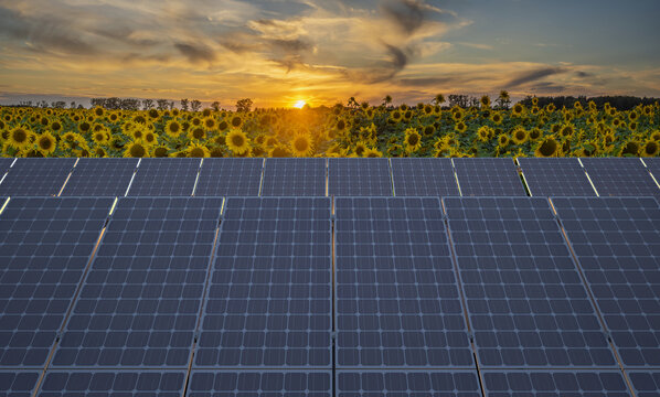 Solar panels against a backdrop of blooming sunflowers.3D Render.