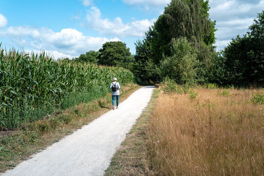 Person walking on rural path in lievelde, gelderland