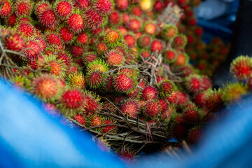 Fototapeta premium Rambutan fruit cluster red hairy tropical fruit on stems in market basket, vibrant color and fresh texture evoking summer harvest