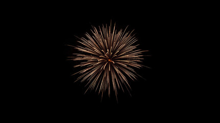 Fototapeta premium Gold burst firework explosion illuminating dark sky with radiant golden trails