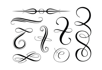Fototapeta premium Ornate Swirls and Flourishes: A collection of elegant, decorative swirls and flourishes, rendered in a classic black and white calligraphy style.