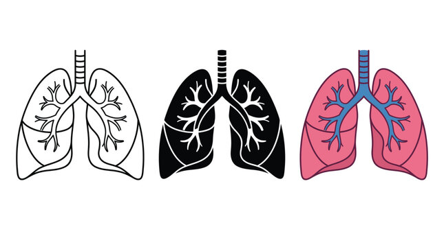 Set of three human lung anatomy icons in outline black and colorful styles Vector