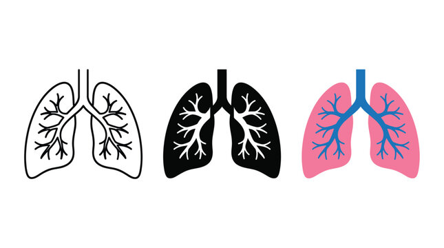 Set of human lung icons in outline solid and colorful styles for medical design Vector
