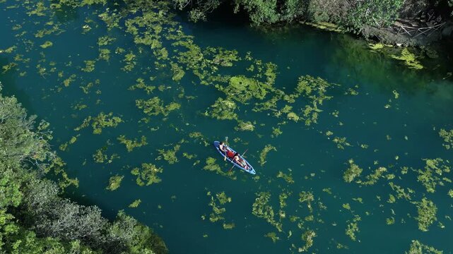 A couple in love canoeing and paddle boarding on a river with green water, algae, and water lilies; drone view of canoeing and kayaking in the Nera River gorges &ndash; Terni, Narni , Umbria, Italy