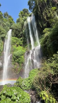 A stunning waterfall cascades down rocky cliffs surrounded by lush green foliage. A rainbow forms at the base, creating a serene natural scene.