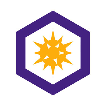 Cyber Security Virus Icon in Purple Hexagon Frame Vector