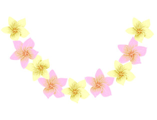 Hand drawn tropical plumeria lei garland featuring soft crayon textures in pink and yellow. © Riza 