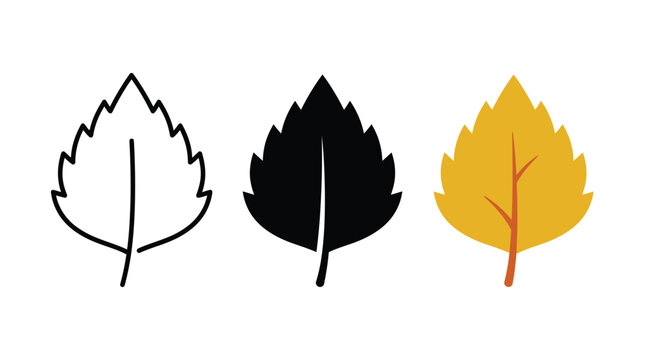 Set of three simple birch leaf icons in outline black and yellow colors Vector