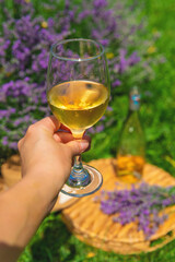 Obraz premium Wine in a lavender field. Selective focus.