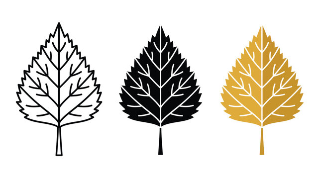 Set of three birch tree leaf icons in outline solid and colored styles Vector