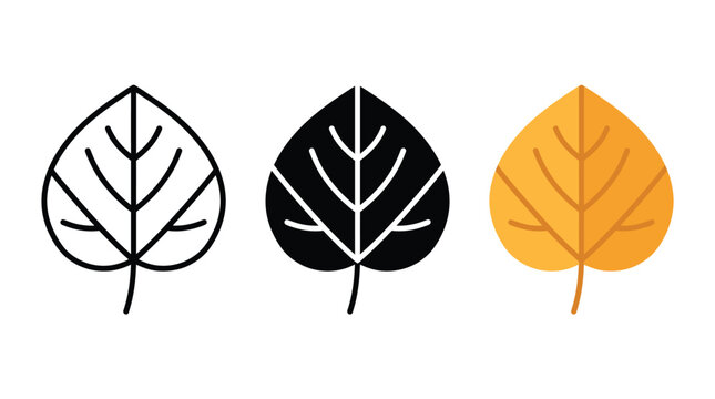 Set of three simple autumn leaf icons in line solid and flat design styles Vector