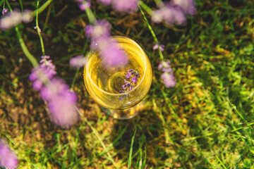 Obraz premium Wine in a lavender field. Selective focus.