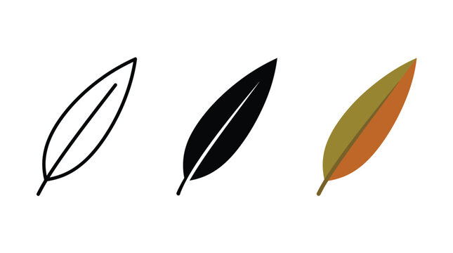 Set of three simple leaf icons in outline solid and colorful flat style design Vector