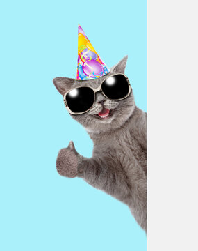 Happy cat wearing sunglasses and party cap looks from behind empty white banner and shows thumbs up gesture. isolated on blue background