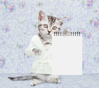 Cute kitten wearing bathrobe standing on hind legs at bathroom at home and showing blank notepad. Empty space for text