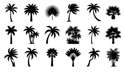 Fototapeta premium Black Palm Tree Silhouette Vector Set with Tropical Coconut Fan and Island Tree Collection
