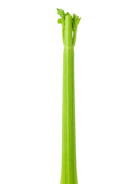 Fresh green celery stalk with isolated transparent background for food photography.