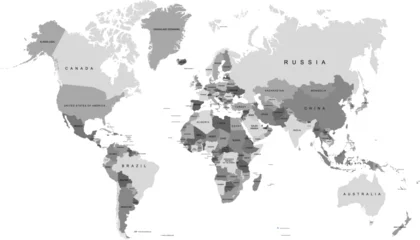 World map. Grey modern vector map. Silhouette map © Pavel