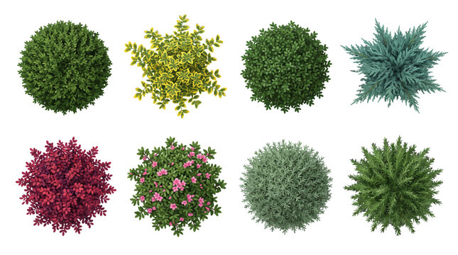 Top view Collection of realistic garden shrubs and bushes from a top view perspective featuring foliage colors like green, red, yellow, and flowering pink azaleas.