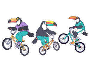 Obraz premium Vibrant cartoon illustration depicting three toucans riding BMX bikes, performing stunts and showcasing cycling skills with enthusiastic energy, a dynamic animal extreme sports adventure