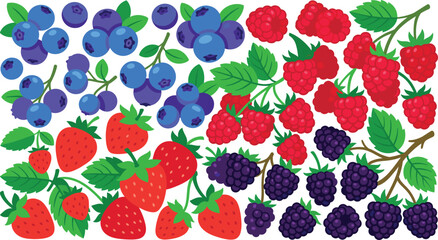 Colorful mix of fresh berries including strawberries, blueberries, raspberries, and blackberries vector pattern illustration © MUNAWARA