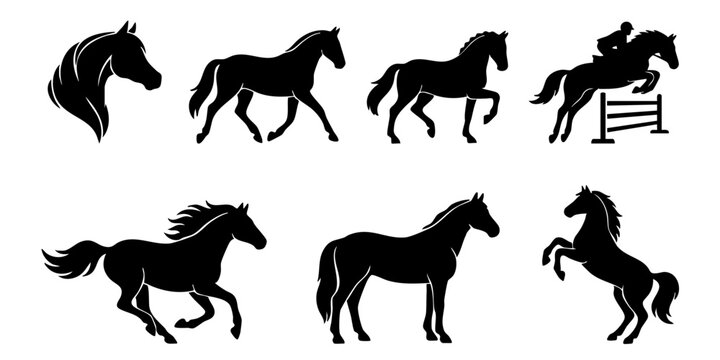 Set of Black Horse Silhouettes in Various Poses Including Galloping Trotting and Jumping
