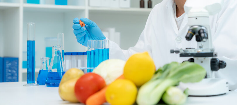 Scientist check chemical food residues in laboratory. Control experts inspect quality of fruits, vegetables. lab, hazards, ROHs, find prohibited substances, contaminate, Microscope, Microbiologist