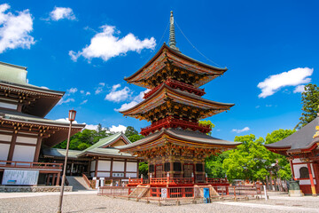Fototapeta premium 千葉県成田市 成田山新勝寺 三重塔
