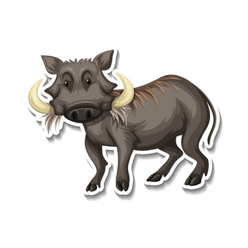 Cartoon warthog sticker isolated on white. Wild boar animal illustration for kids.
