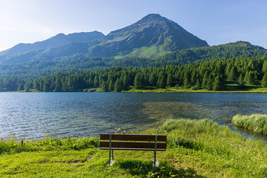 iew from a secludede bench across Lake Sils in the Engadin towards Piz Lagrev. 