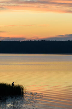 Silhouette of Fisherman Fishing on Lake at Golden Sunrise