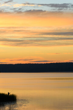 Angler Silhouette on Peaceful River under Vibrant Dawn Sky