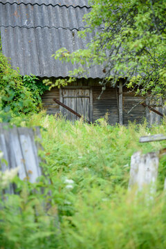 Vertical View of Abandoned Wooden Village Barn with Overgrown Grass