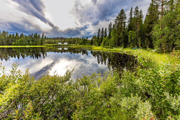 Fototapeta premium The forest are reflected in the lake