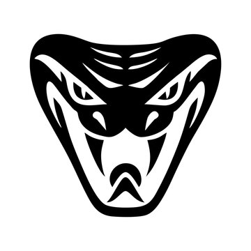 Black and white snake head logo
