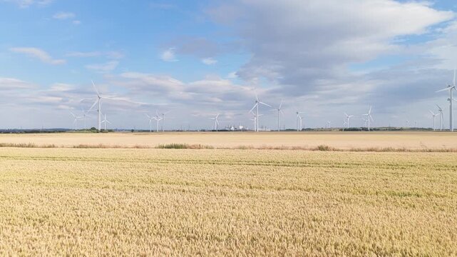Panoramic view across a sunlit golden wheat field. The horizon features multiple white wind turbines against a bright blue sky with scattered clouds in daytime.