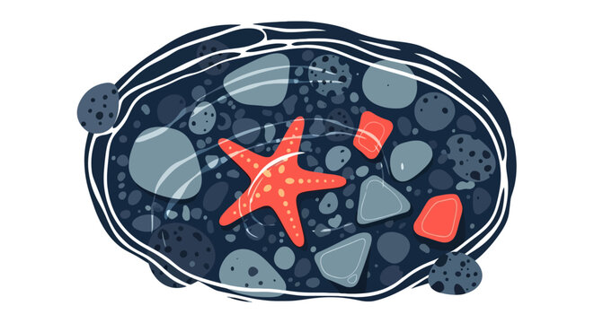 Orange starfish resting on pebbles in a tide pool