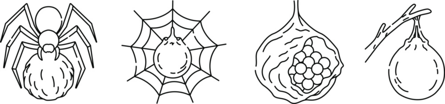 Spider Egg Sac Icons Set Vector, Spider Nest, Cobweb Eggs, Halloween and Horror Line Art Collection