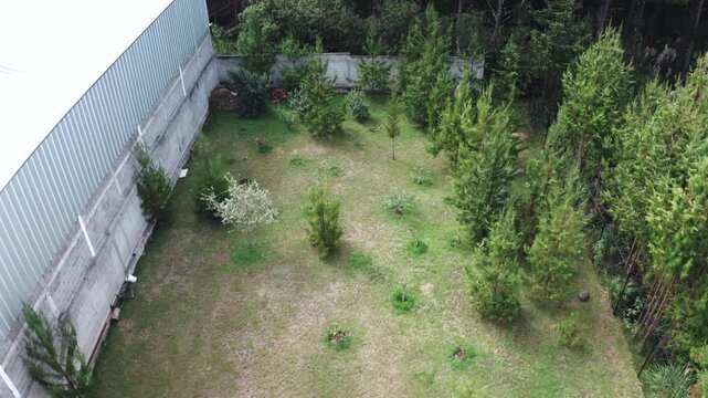 Aerial shot in motion captured with a drone: a plot of land with grass, young trees and vegetation is observed, next to an industrial-type building or warehouse with a metal wall.
