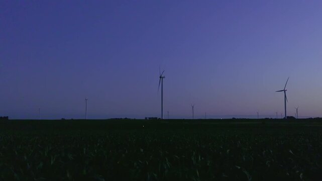 Blinking fireflies illuminate a cornfield at dusk while utility scale wind turbines rise across the distant horizon, blending natural bioluminescence with renewable energy, handheld ground shot.