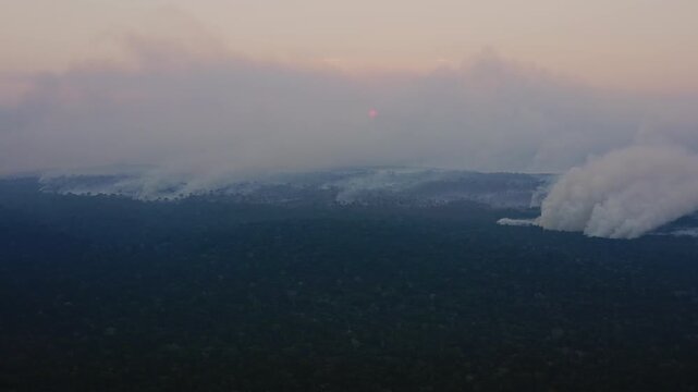 Aerial drone view of active wildfires burning across the southern Amazon rainforest, with massive smoke plumes rising above the forest canopy at sunset, highlighting the environmental impacts of fores
