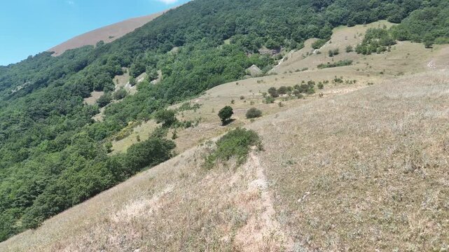 Pendio con erba secca, arbusti sparsi e terreno naturale irregolare, che sale verso una zona boschiva verde e fitta sotto un cielo limpido. Paesaggio naturale semplice, luminoso e incontaminato.
