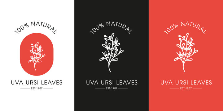 Premium Quality Organic Uva Ursi Leaves Certified Sticker and Health Badge Set, vector illustration.