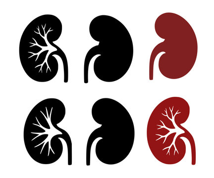 Set of minimalist kidney icons in silhouette style for UI UX app design